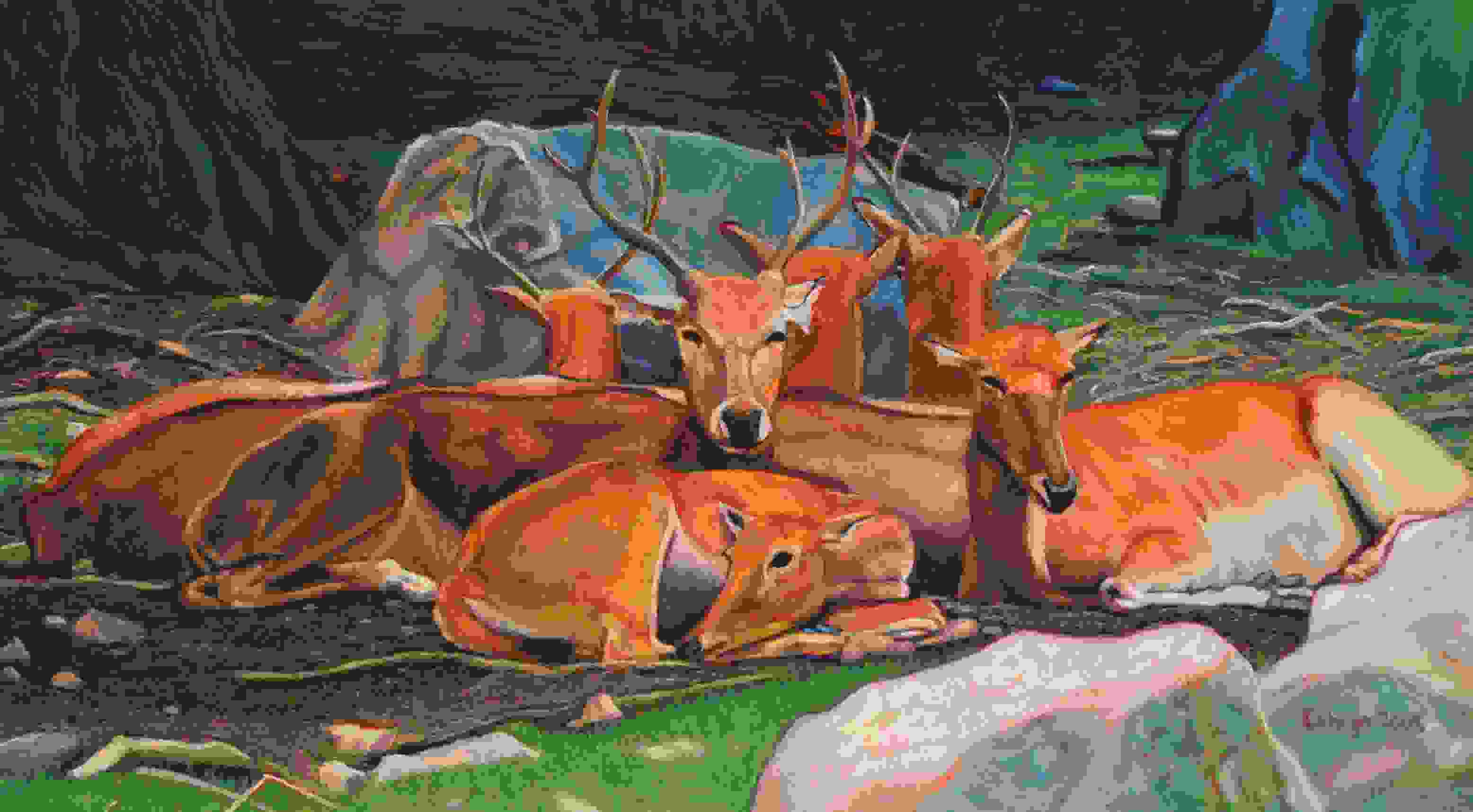 Pere David Deer